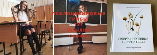 таблы Лагань