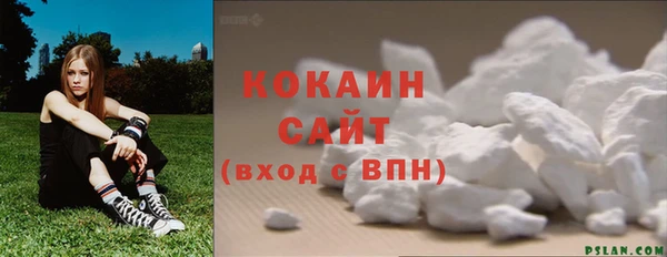 не бодяженный Ладушкин