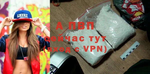 не бодяженный Ладушкин