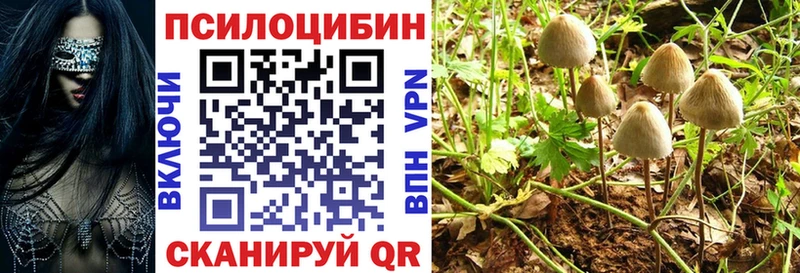 Галлюциногенные грибы Cubensis  Купить закладки  Хвалынск 