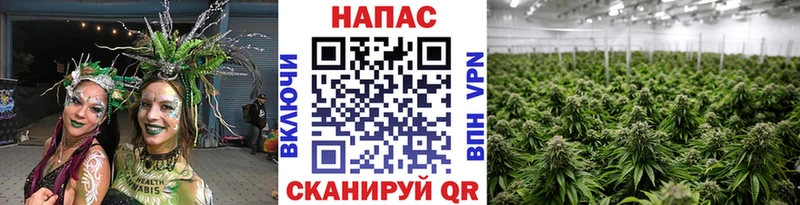 Марихуана конопля  Купить  Хвалынск 